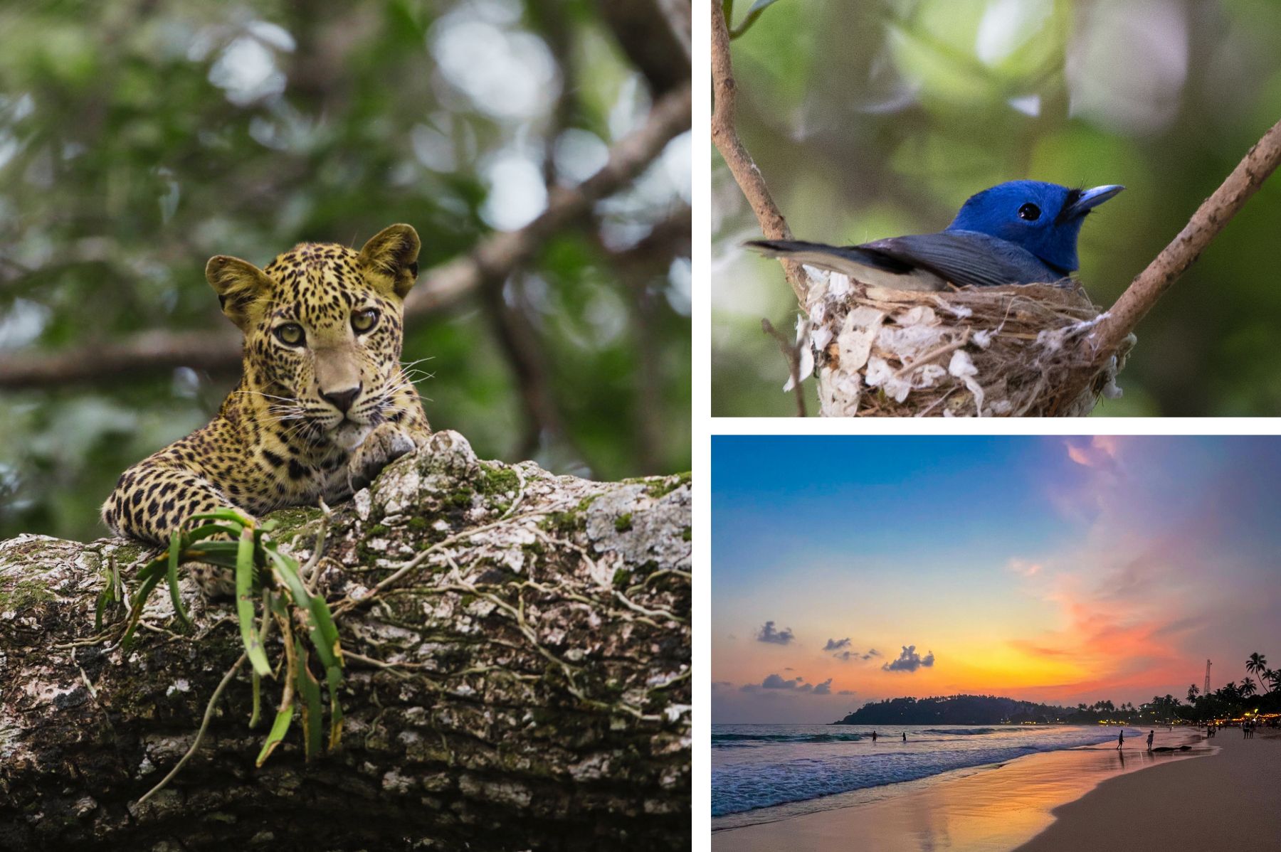 Yala National Park